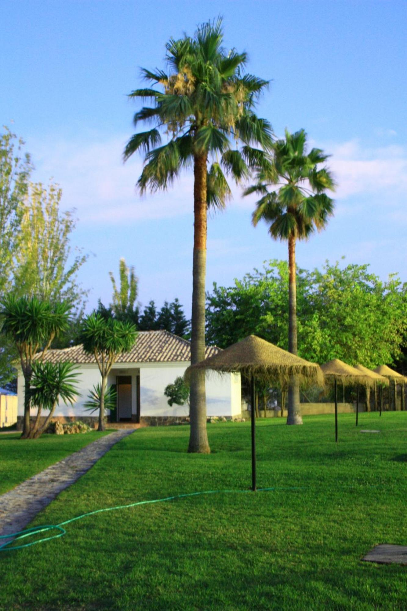 Camping Sierra De Las Nieves Юнкера Экстерьер фото